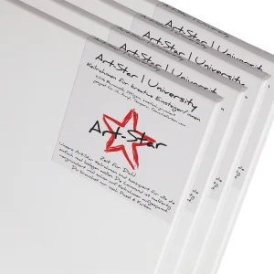 4 ART-STAR UNIVERSITY 30x30cm Keilrahmen bespannt