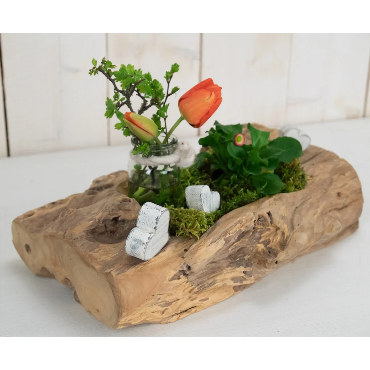 NATURGEWACHSENE TEAK SCHALE "NOVIA" Wurzelschale – Bild 8