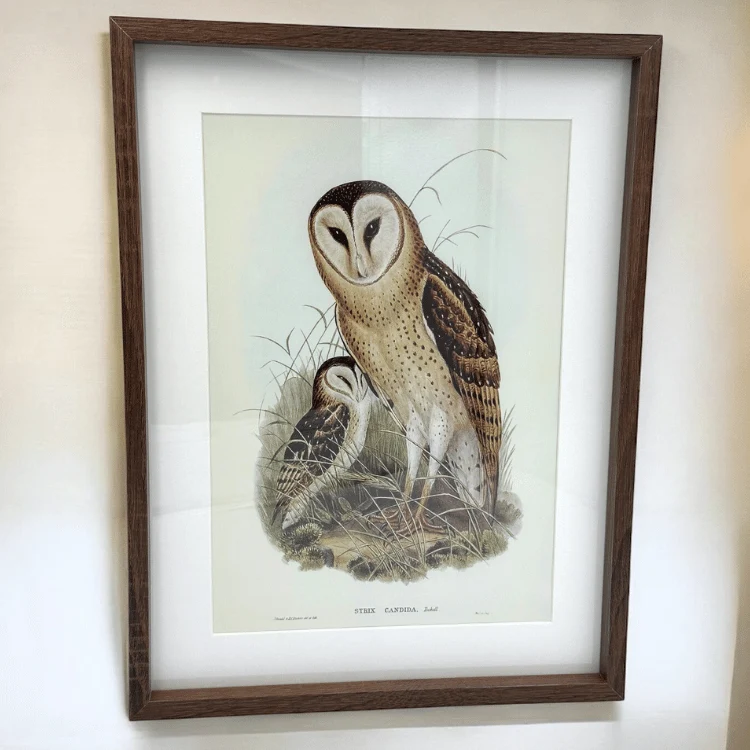 Eulen Wandbild – Bild 4