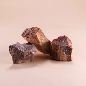 Versteinertes Holz Rohstein